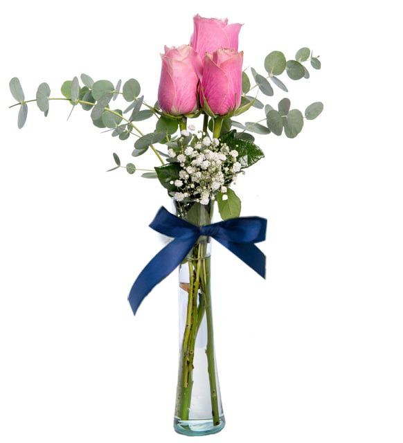 3 rosas rosadas en un florero cilíndrico (A)