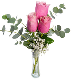 3 rosas rosadas en un florero cilíndrico