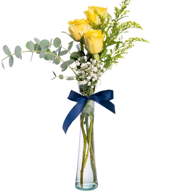 3 rosas amarillas / jarrón cilíndrico (B)
