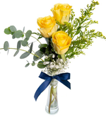 3 rosas amarillas / jarrón cilíndrico (B)