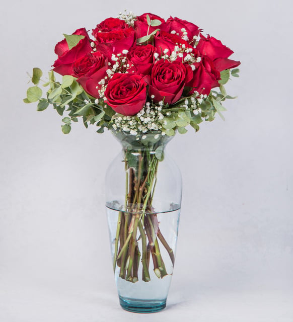 12 Rosas Rojas