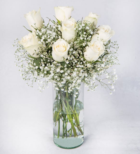 8 Rosas Blancas