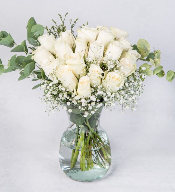 20 Rosas Blancas