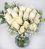 20 Rosas Blancas