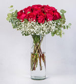 20 Rosas Rojas