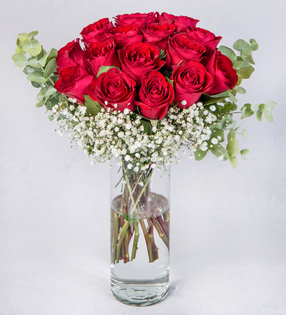 20 Rosas Rojas