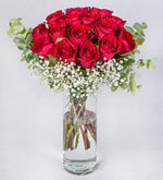 20 Rosas Rojas