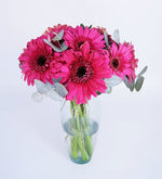 Florero Con 6 Gerberas