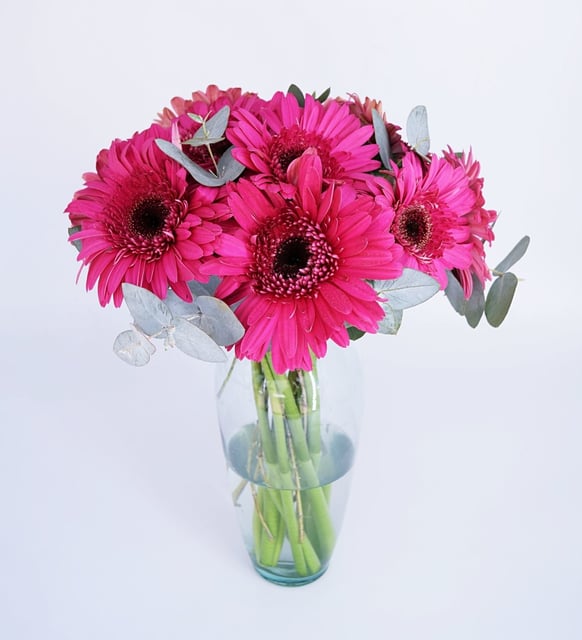 Florero Con 6 Gerberas (M)