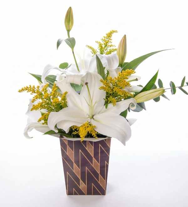White lilies in harlequin box