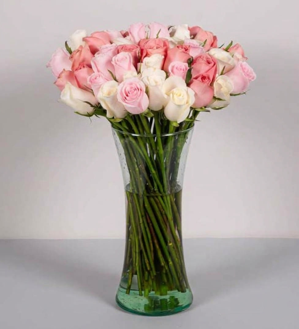 50 Pink and White Roses