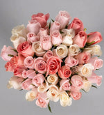 50 Pink and White Roses