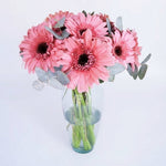 Vase with 6 Gerberas