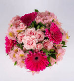 Pink Box Gerberas and Mini Roses