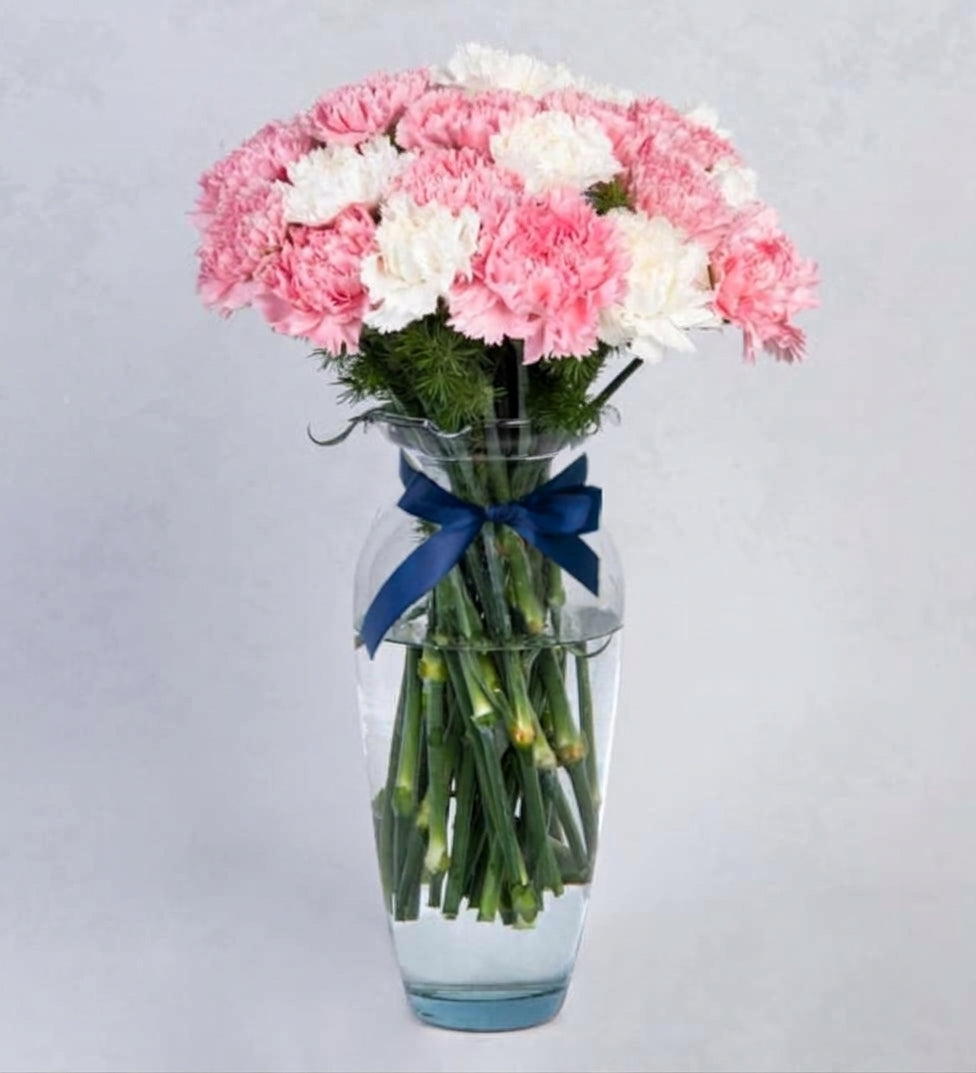 Combinación de 22 Claveles Rosas y Blancos - En Barcelo