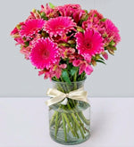 10 Gerberas Rosas y Astromelias Rosas - En Florero