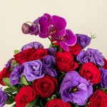 Mora Roja - Rosa Roja, Lisianthus Morado y Orquídea LolaFlora