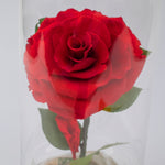 Rosa Eterna Bella y Bestia - Rosa en Cristal