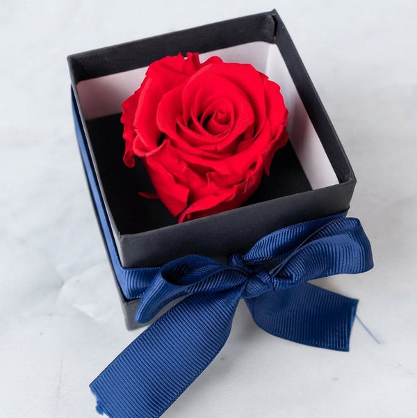 Rosa Eterna - Rosa en Caja LolaFlora