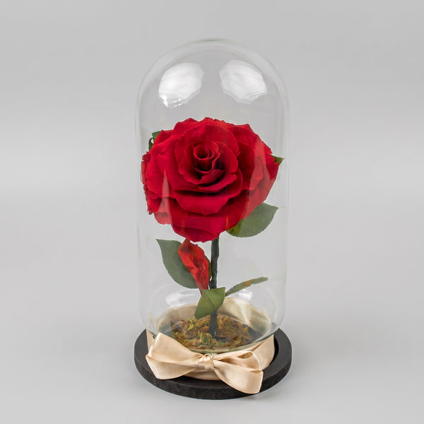 Rosa Eterna Bella y Bestia - Rosa en Cristal