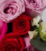 Ramo 5 Rosas Rojas, 5 Rosas Claritas y Perrito - En Papel Negro
