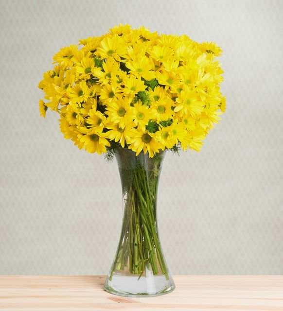 Día Soleado Margaritas